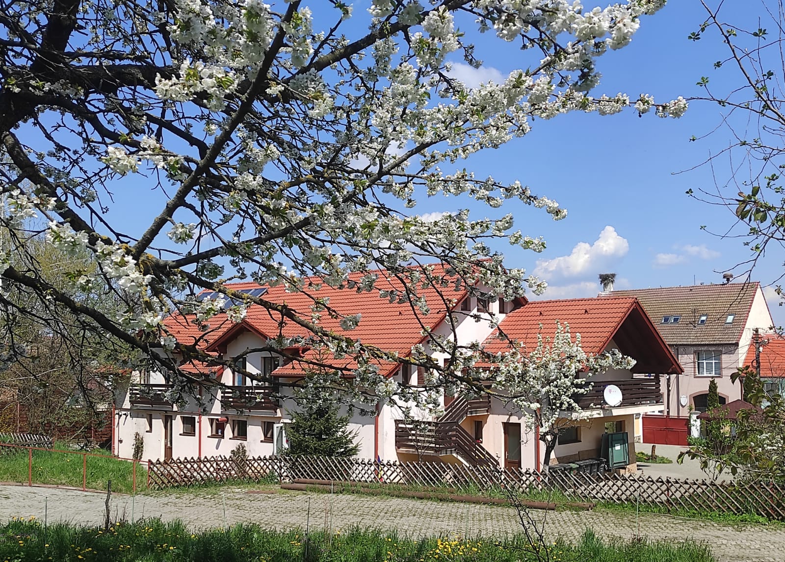 Curtea exterioară și grădina centrului